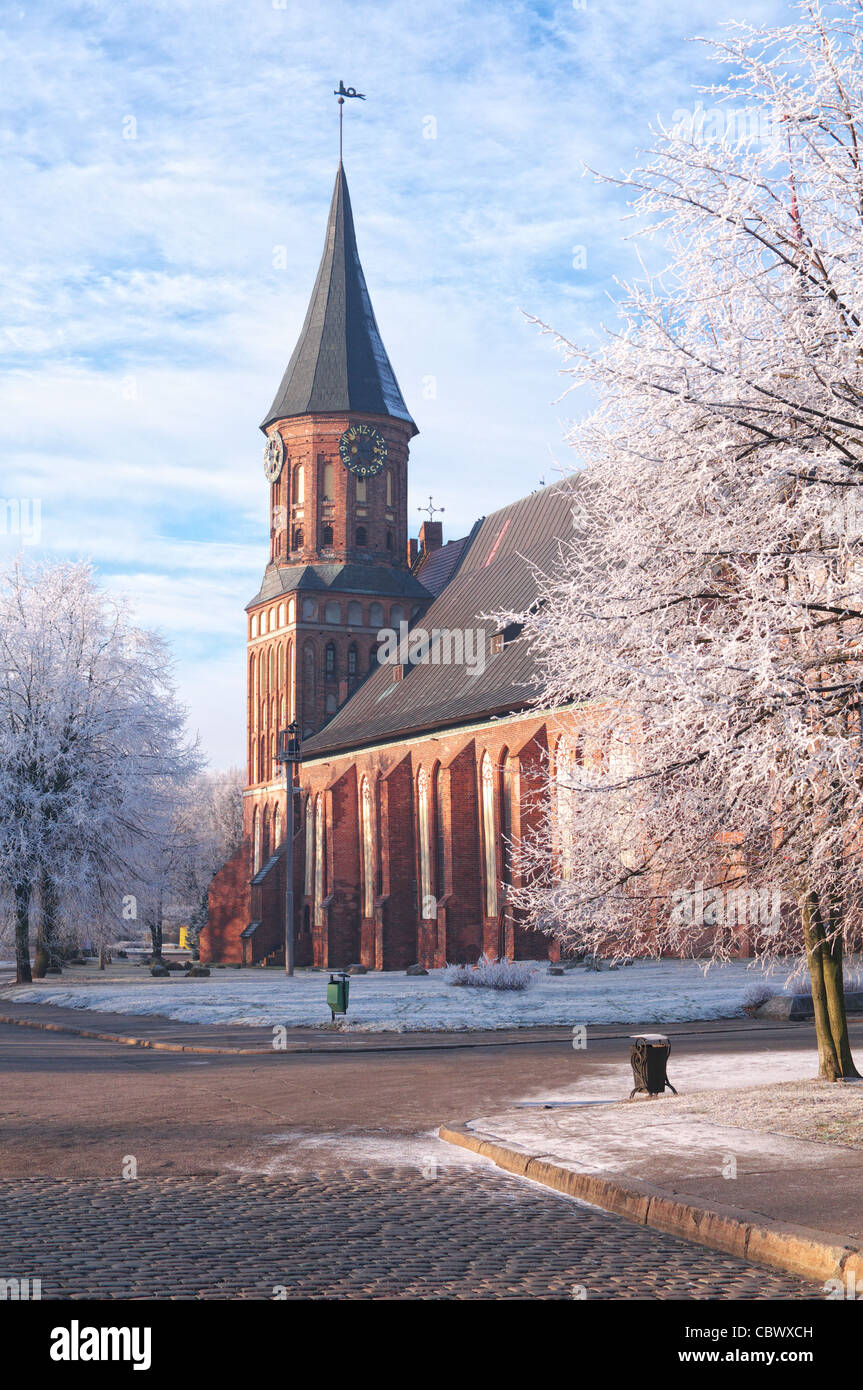 Kant`s cathedral in Kaliningrad Stock Photo